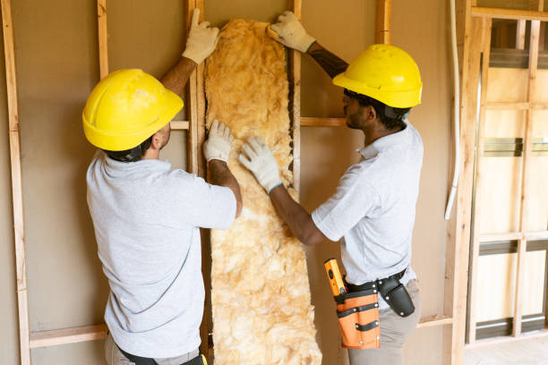 Best Insulation Air Sealing  in Pasadena, CA